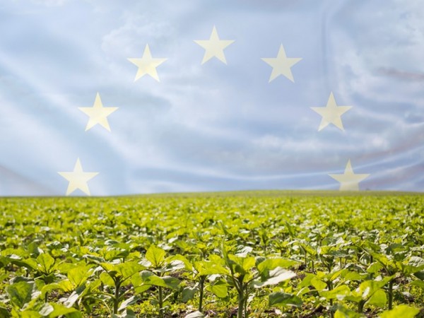 Circular Economy and Agriculture in the European Green Deal