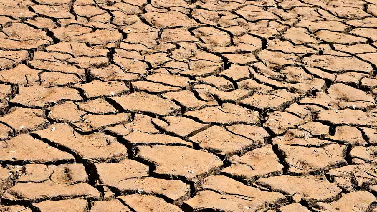 Seipasa participa en el proyecto MiCropBiome contra la sequía