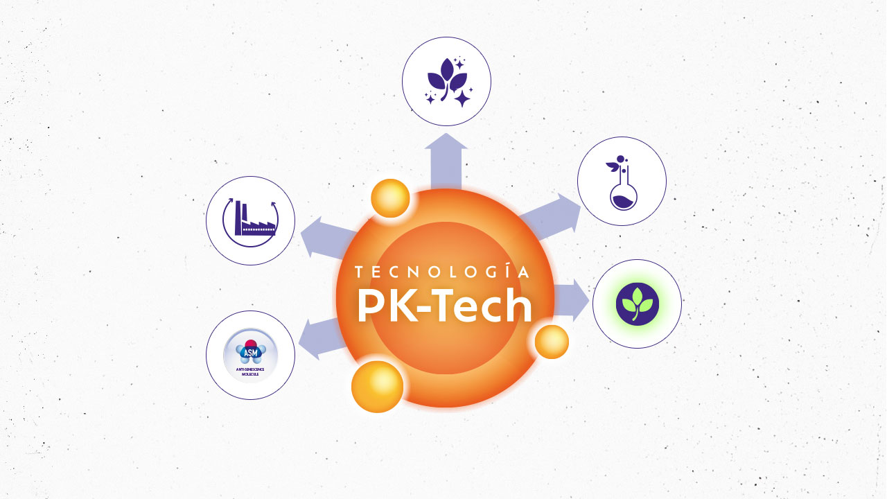 5 keys to understanding Seizen’s PK-Tech