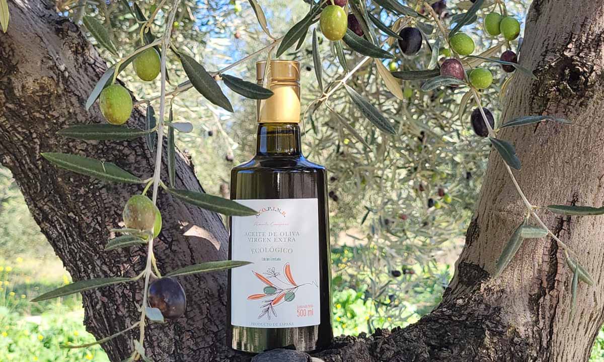 Seipasa collaborates with Acopinb in the production of its organic olive oil for charity