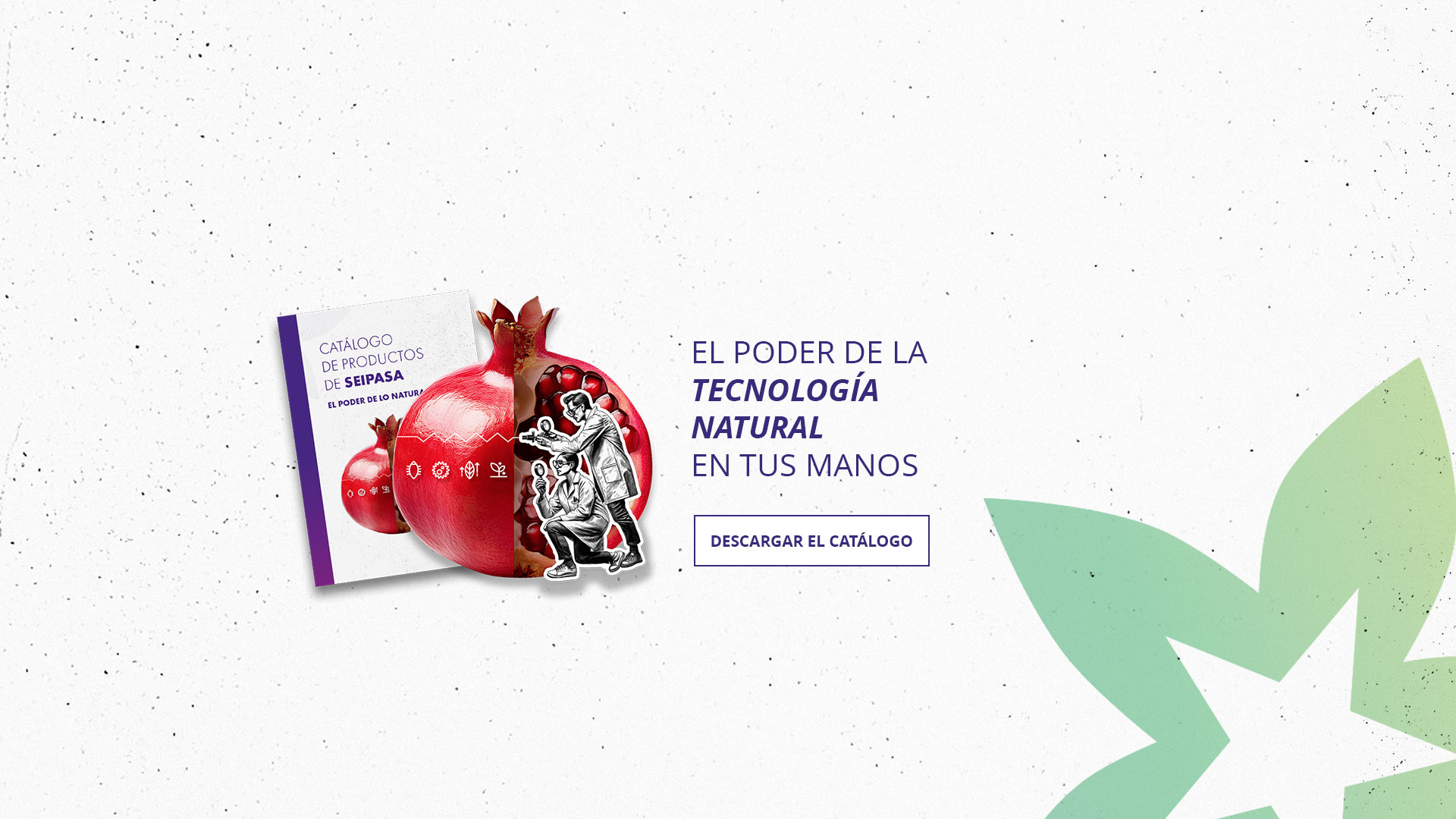 Ver folleto (PDF)
