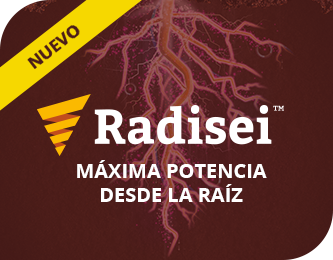 Máxima potencia desde la raíz