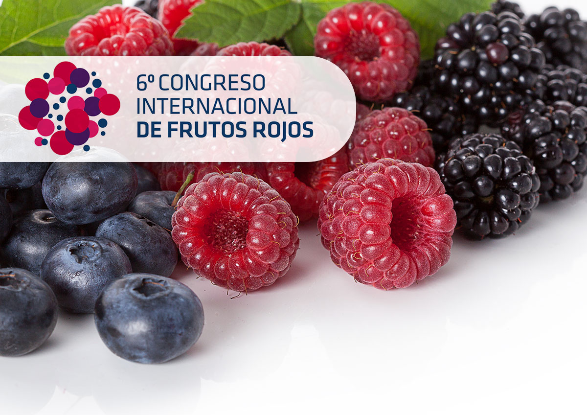 Seipasa, en el VI Congreso Internacional de Frutos Rojos