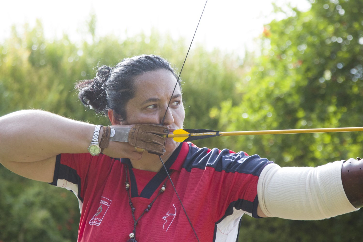 Campeona del mundo de tiro con arco, imagen publicitaria Seipasa