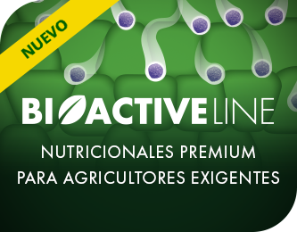 Bioactive