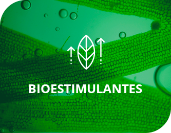 Bioestimulantes agrícolas