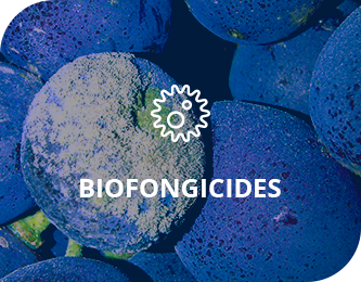 Biofongicides