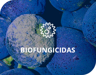 Biofungicidas