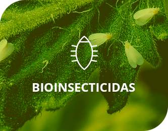 Bioinsecticidas