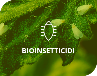 Bioinsetticidi
