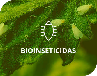 Bioinseticidas