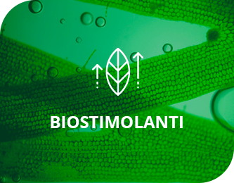 Biostimolanti agricoli