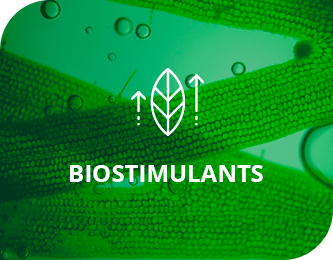 Biostimulants agricoles