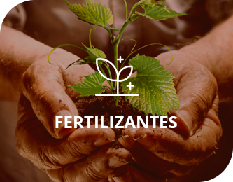 Fertilizantes