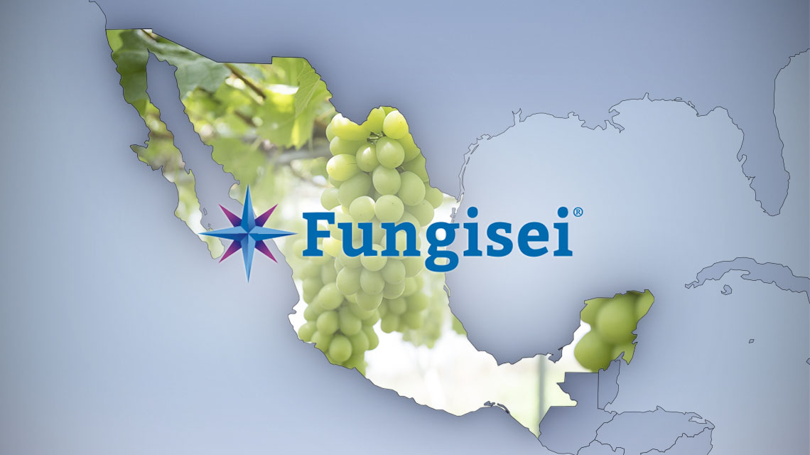 Extension of Fungisei's label for grapevines in Mexico