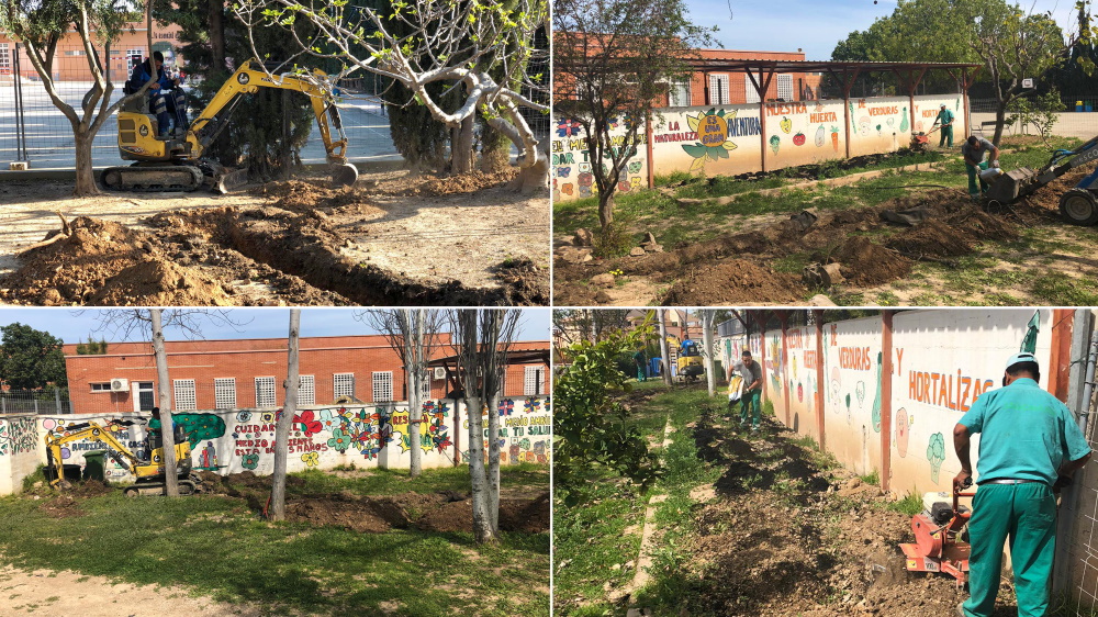 Reconstruction of school gardens in Los Alcazares