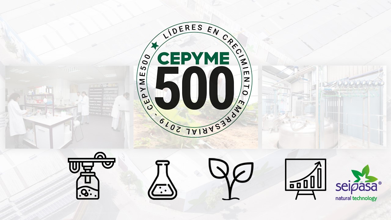 Seipasa is among Spain’s 500 leading companies by CEPYME