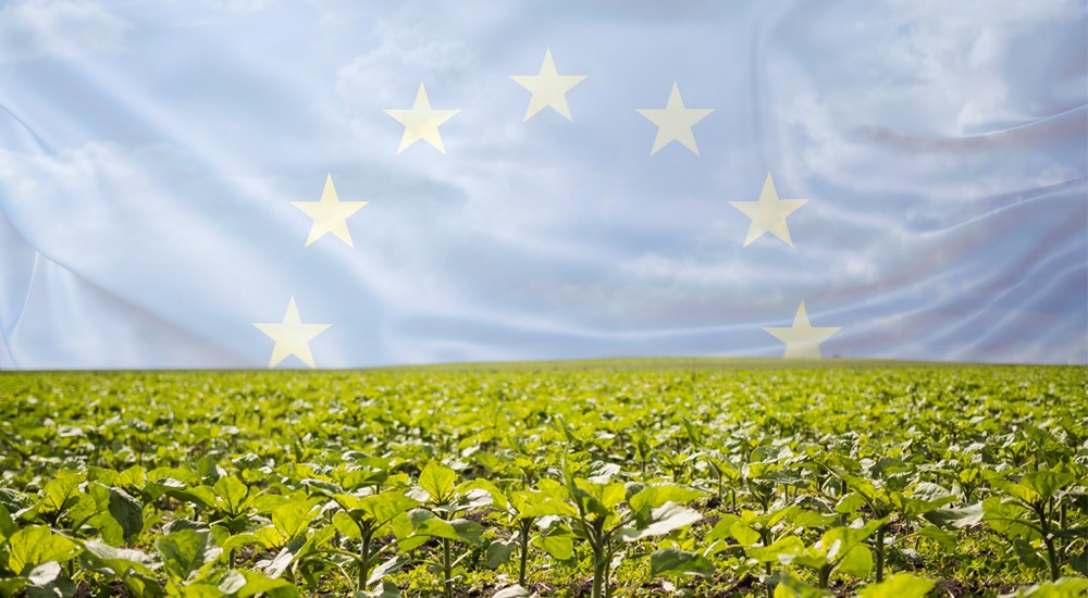 Economía circular y agricultura en el pacto verde europeo