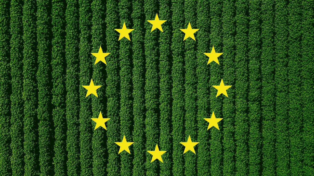 Biostimulants in the new European Fertilising Products Regulation