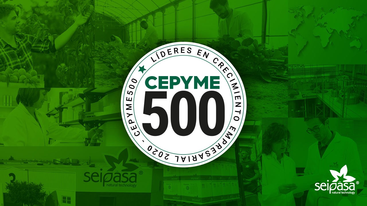 Seipasa se consolida en el ranking de Cepyme500