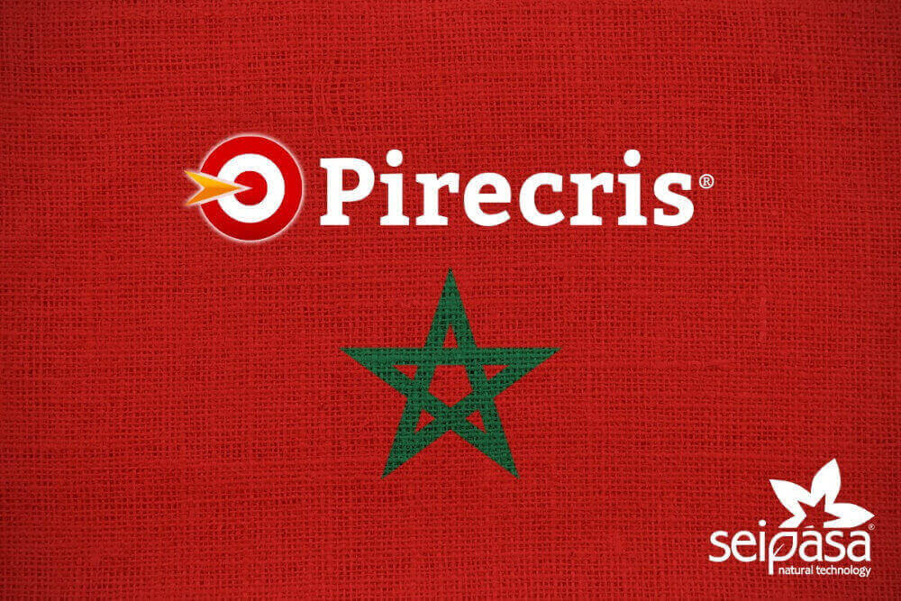 Pirecris: label extension in Morocco for berries