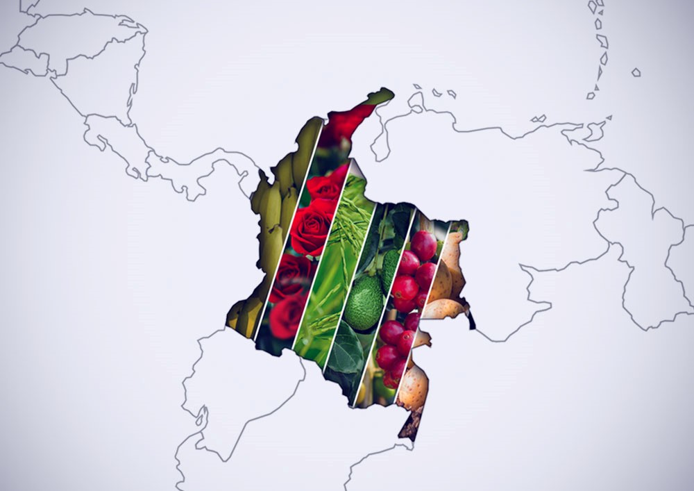 Seipasa comienza a distribuir sus productos en Colombia