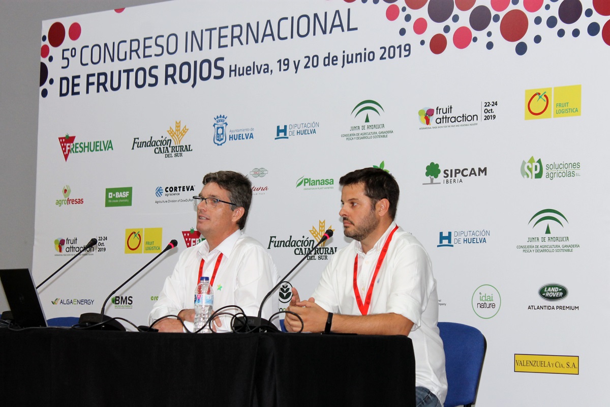 Seipasa and SP at the Congress of Red Fruits in Huelva