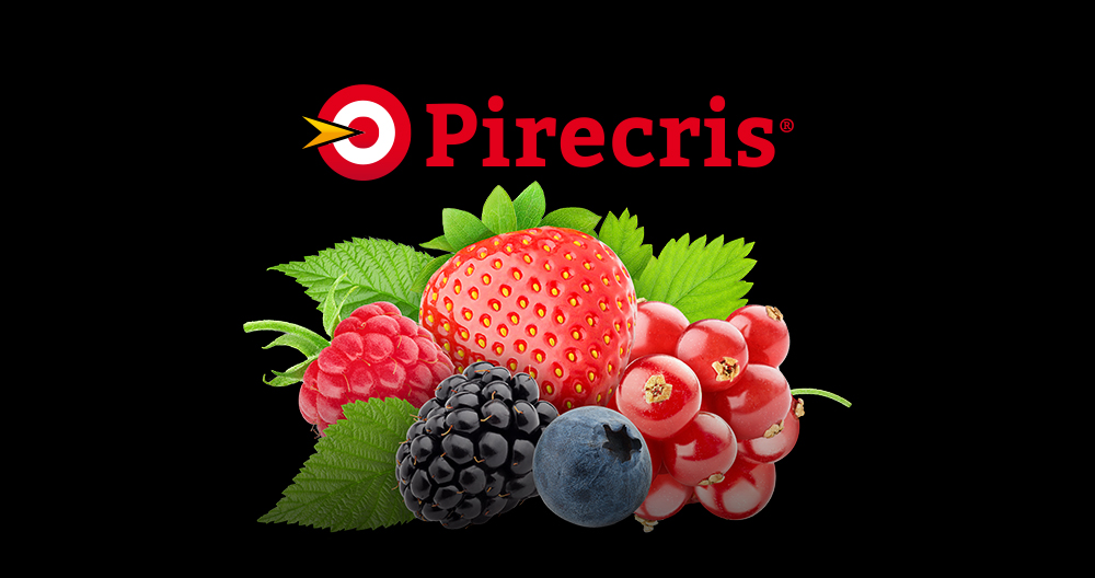 Pirecris bioinsecticida para fruto rojos Portugal