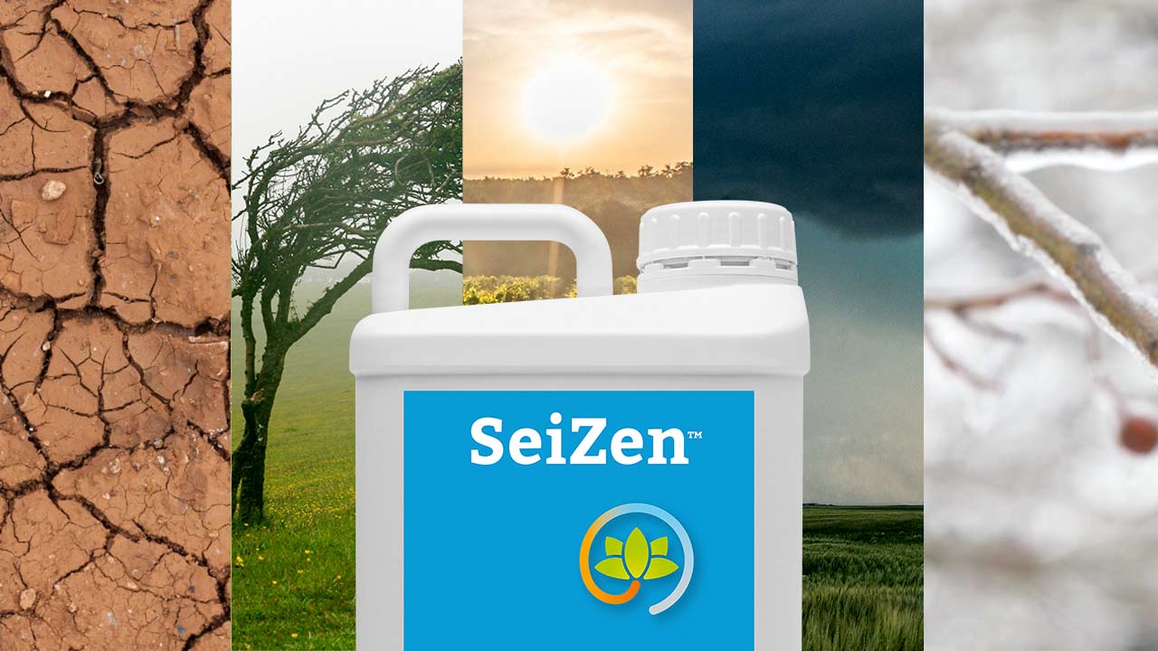 Bioestimulante SeiZen, recupera los daños provocados por situaciones de estrés abiótico y condiciones externas