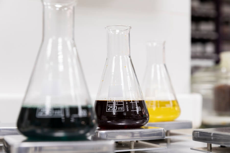 Soluciones de origen botánico desarrolladas por Seipasa en su laboratorio y departamento de I+D+i. Equisetum arvense y su aplicación en agricultura
