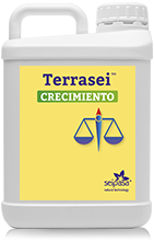 garrafa-terrasei-crecimiento-2203