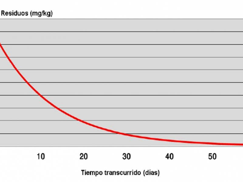 CURVA TEORETICA