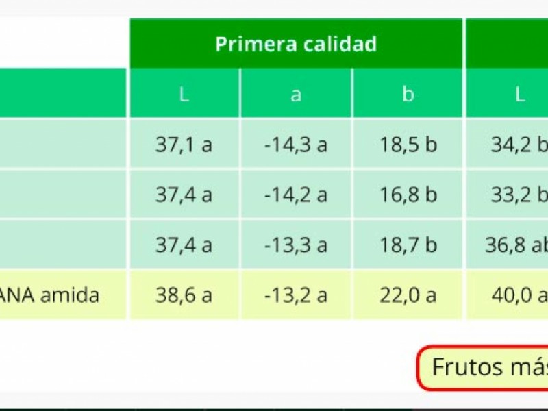 Bioestimulantes para el cuaje en calabacín. Frutos más verdes y luminosos.