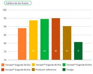 Fertilizantes para engorde de tomate