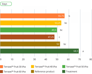 Fertilizers for tomato fattening