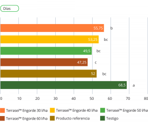 Fertilizantes para engorde de tomate