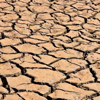 Seipasa participa en el proyecto MiCropBiome contra la sequía