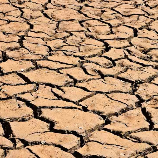 Seipasa participa en el proyecto MiCropBiome contra la sequía