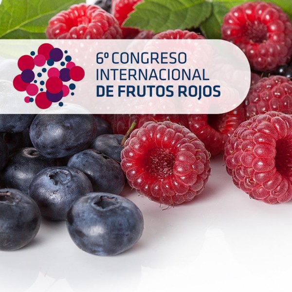 Seipasa, en el VI Congreso Internacional de Frutos Rojos
