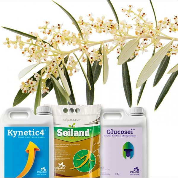 Seipasa presenta su estrategia de producto para optimizar el cultivo de olivo
