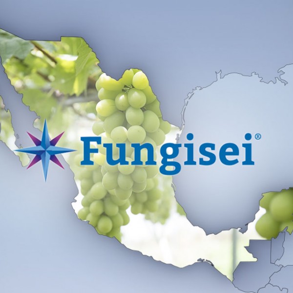Extension of Fungisei's label for grapevines in Mexico
