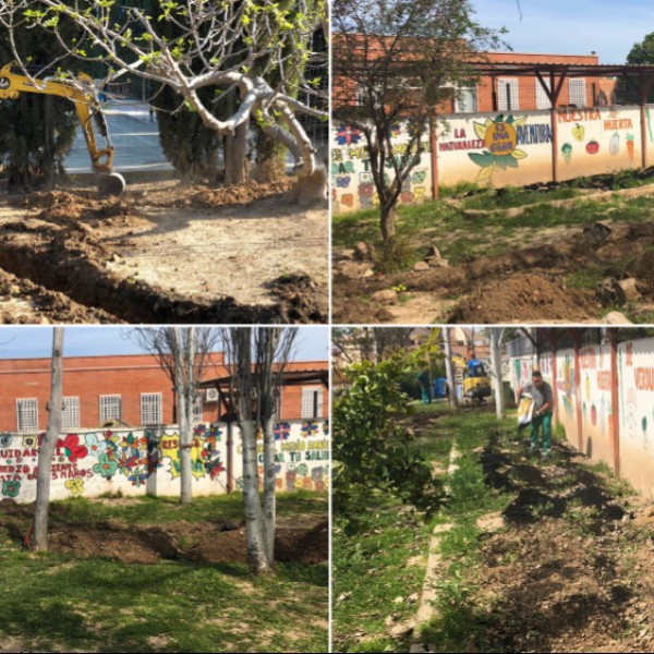 Reconstruction of school gardens in Los Alcazares