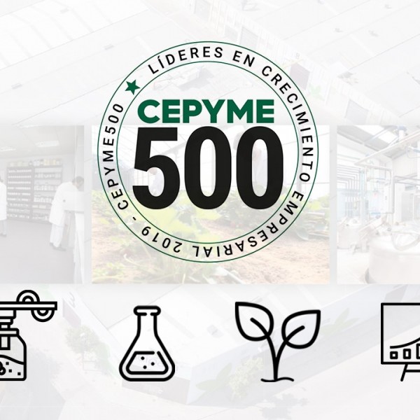 Seipasa is among Spain’s 500 leading companies by CEPYME