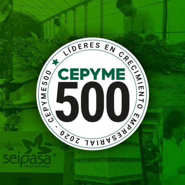 Seipasa se consolida en el ranking de Cepyme500