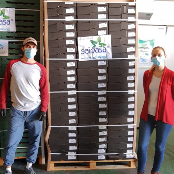 Volunteers from the food banks in Huelva and Cordoba receive the donation made by Seipasa Seipasa donates fruits and vegetables to the Food Bank