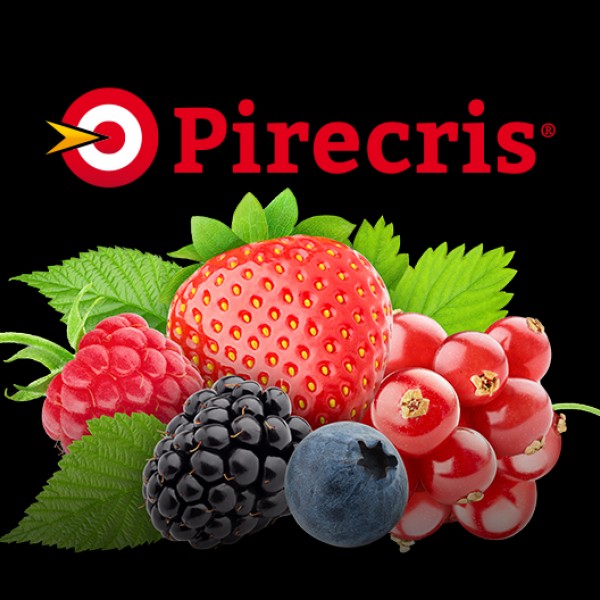 Pirecris bioinsecticida para fruto rojos Portugal
