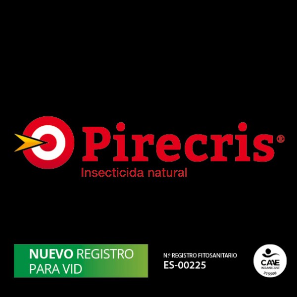 Pirecris: control of cicadellidae in vines
