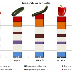 Estrés por frío en hortícolas: cómo evitar o minimizar daños