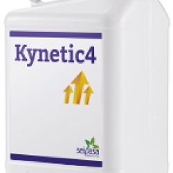 Kynetic4