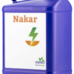Nakar